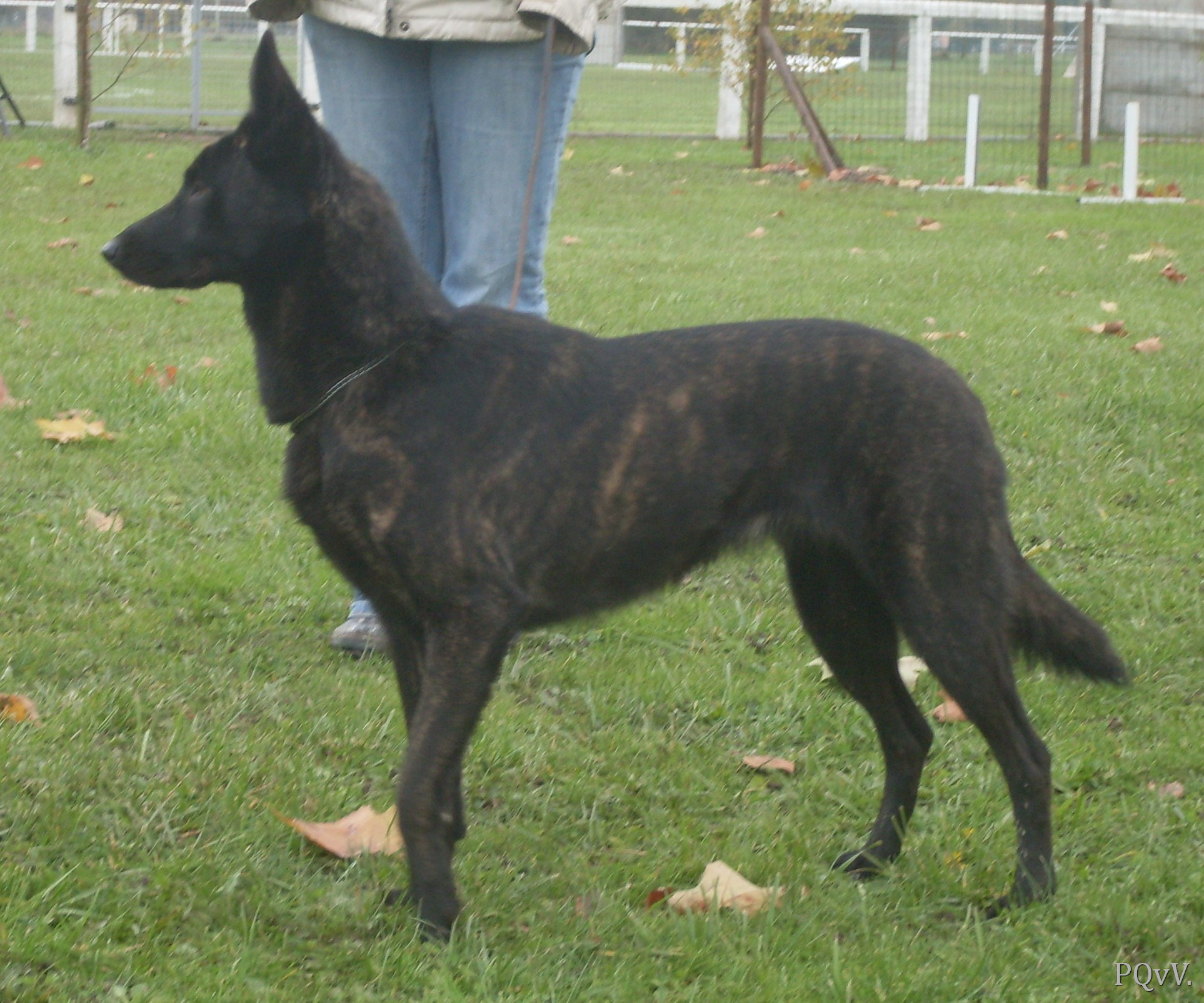  Mac Khalahann’s Fantasia